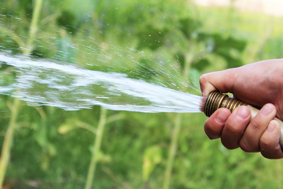 Techniques d'arrosage économiques pour jardins